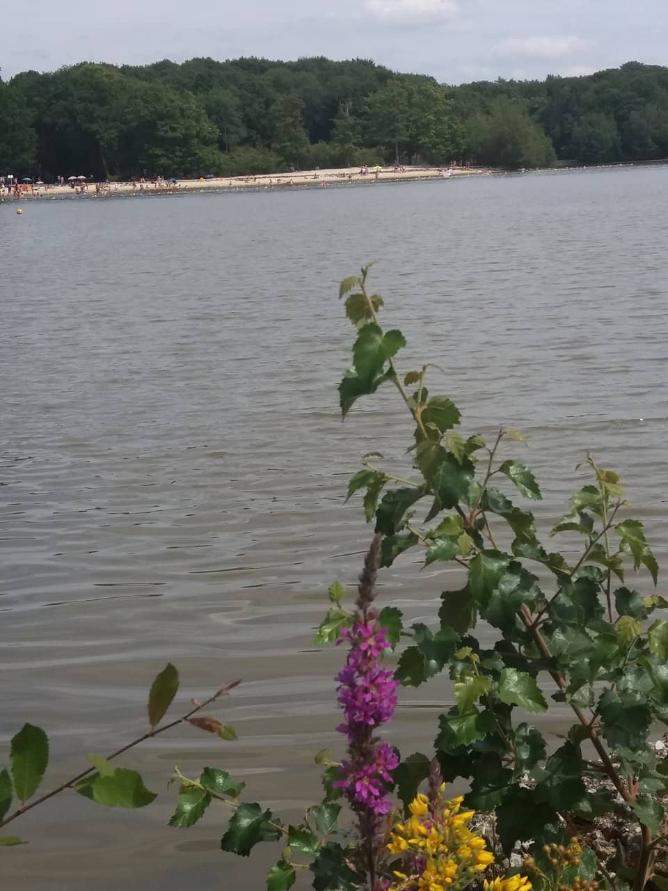 Water Sports & Rentals