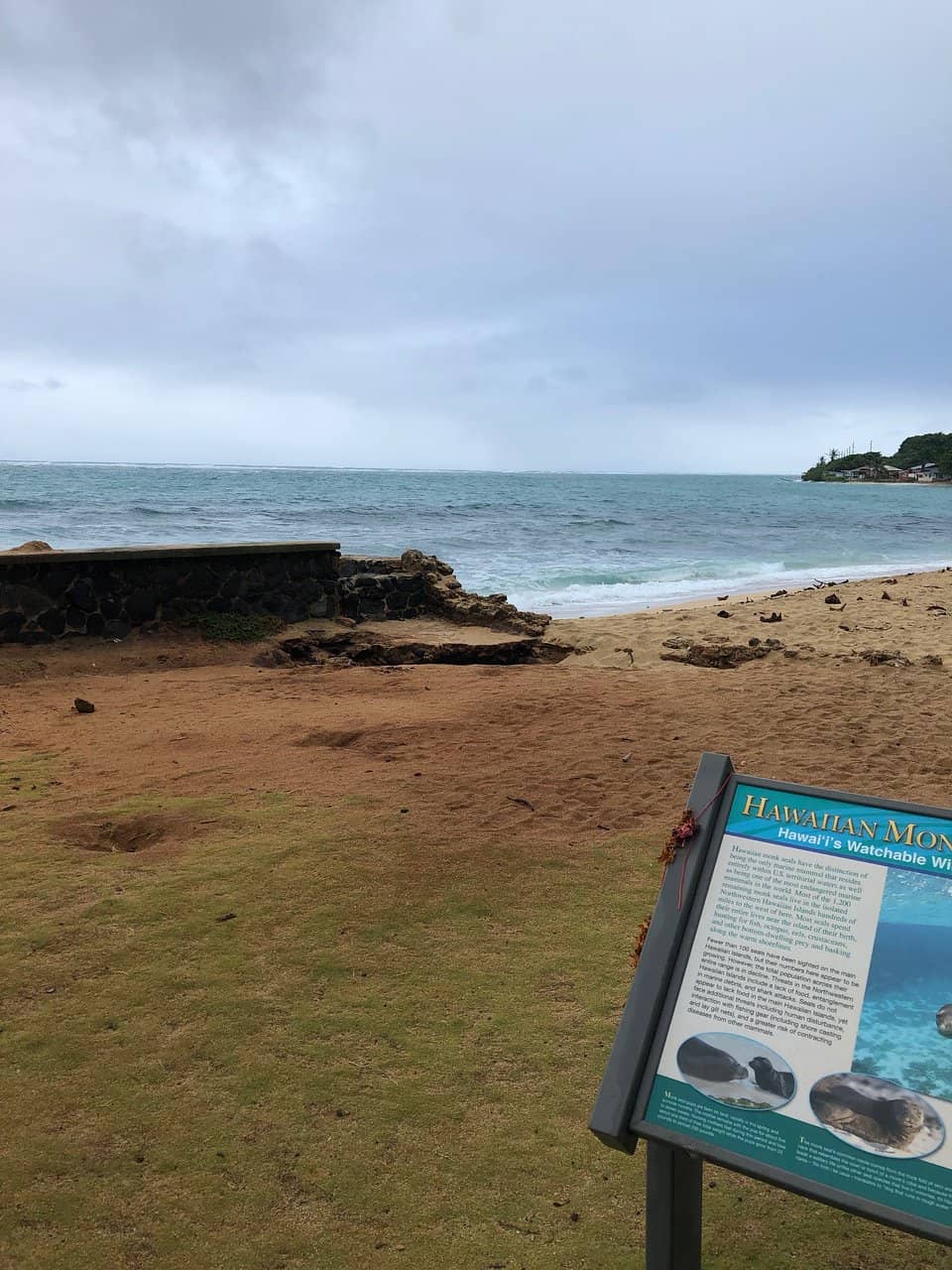 Ocean Glimpses