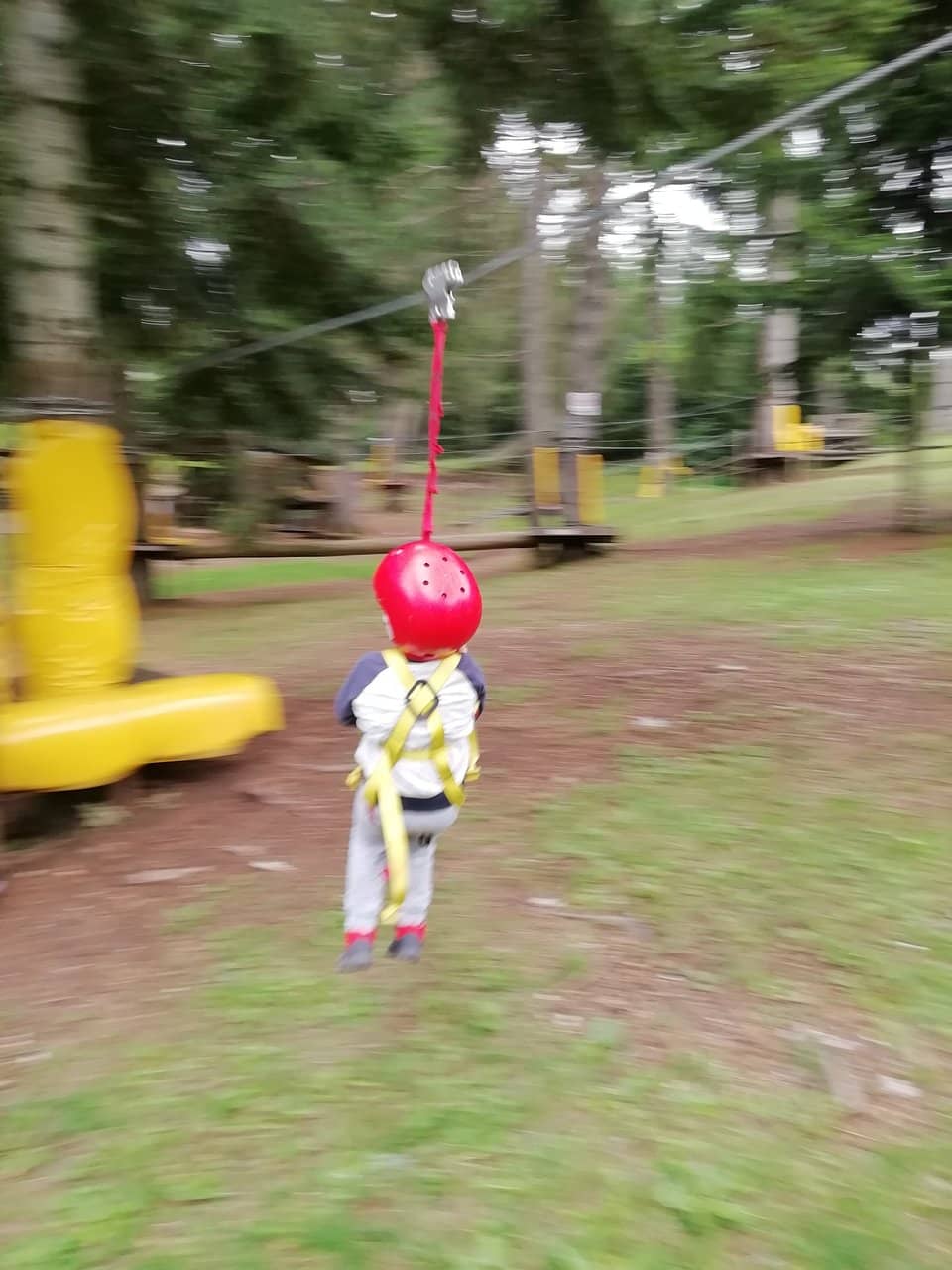 Friendly & Attentive Staff