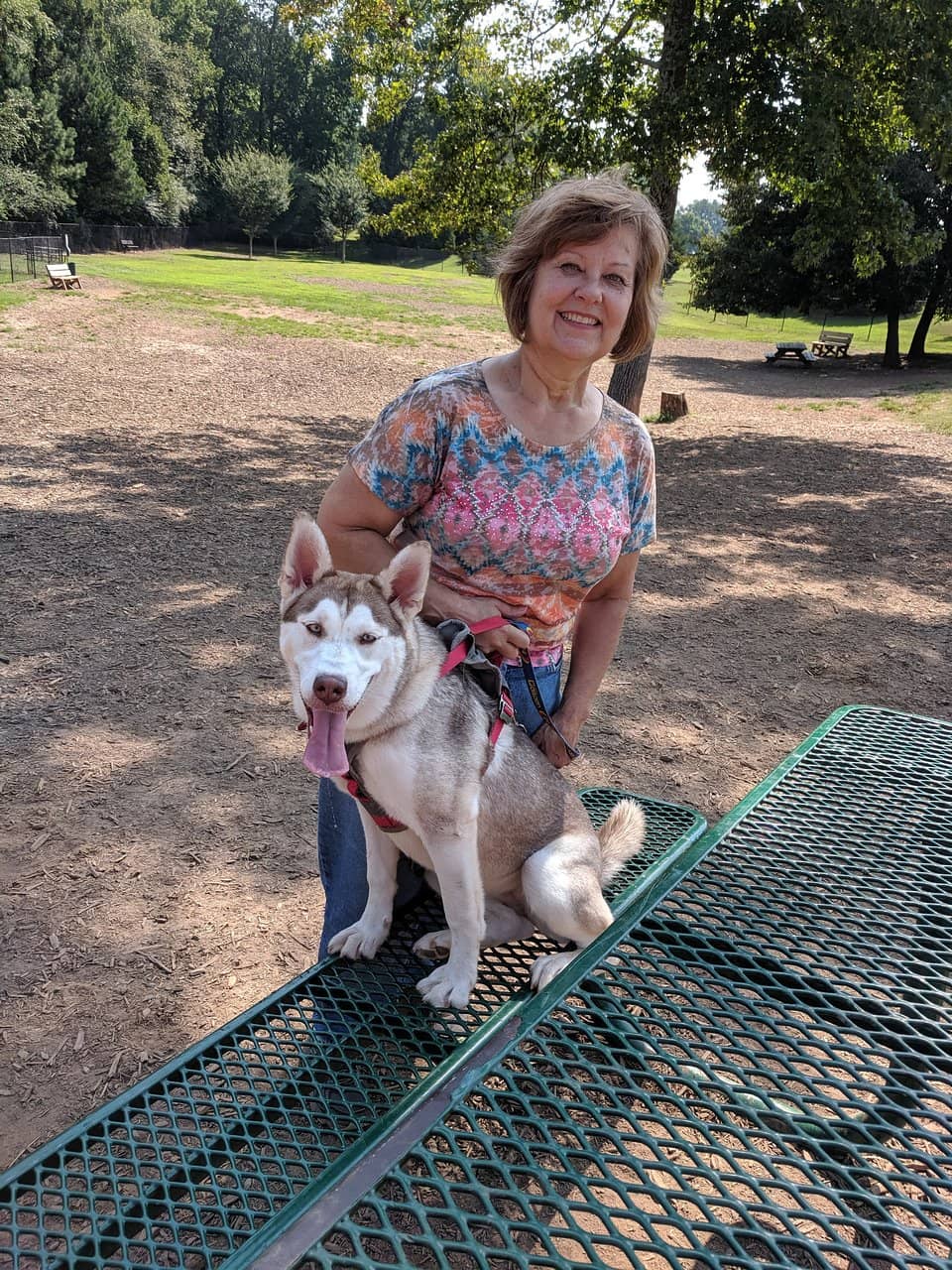 Scenic Walking Trails