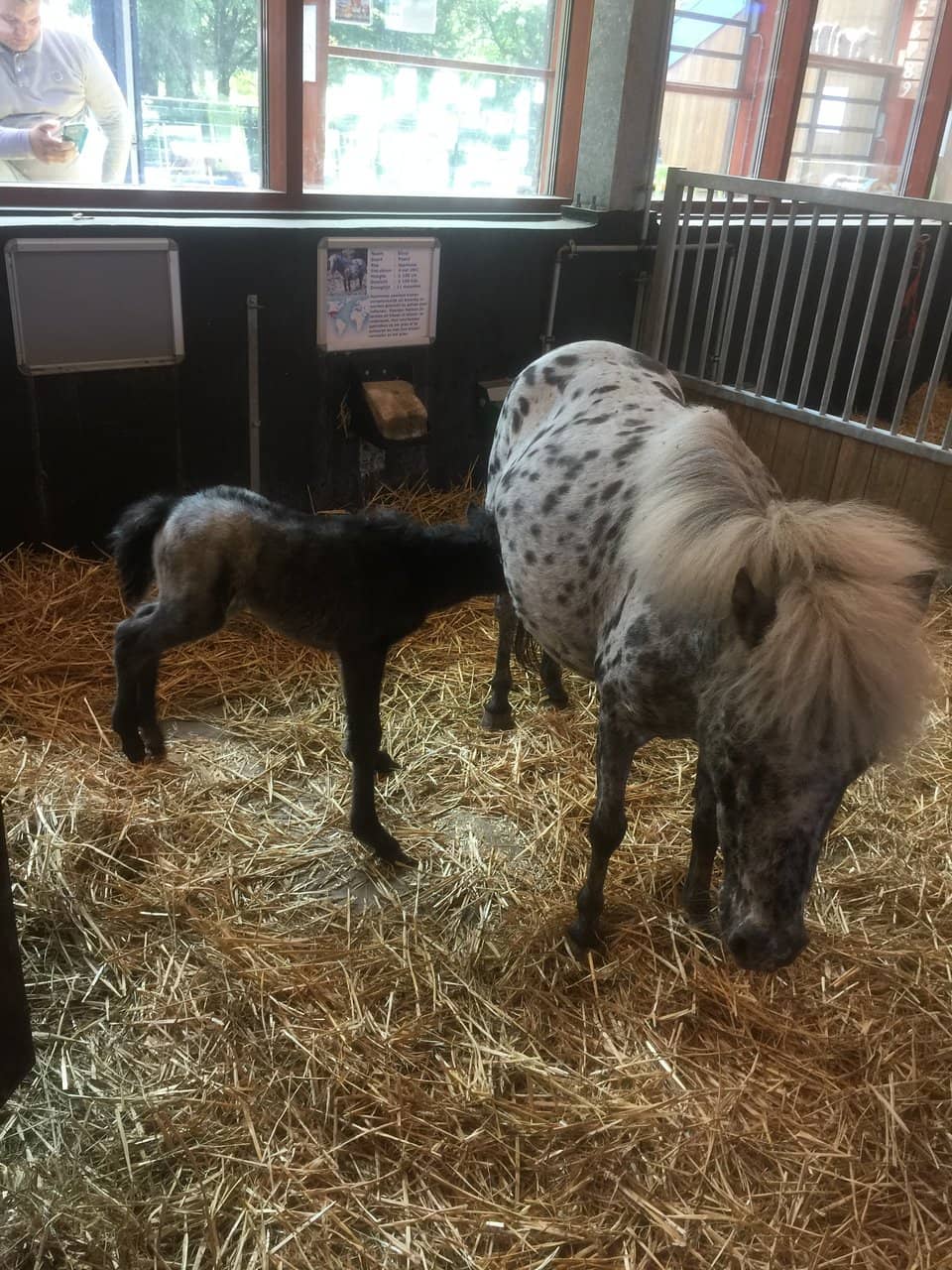 Interactive Nature Center