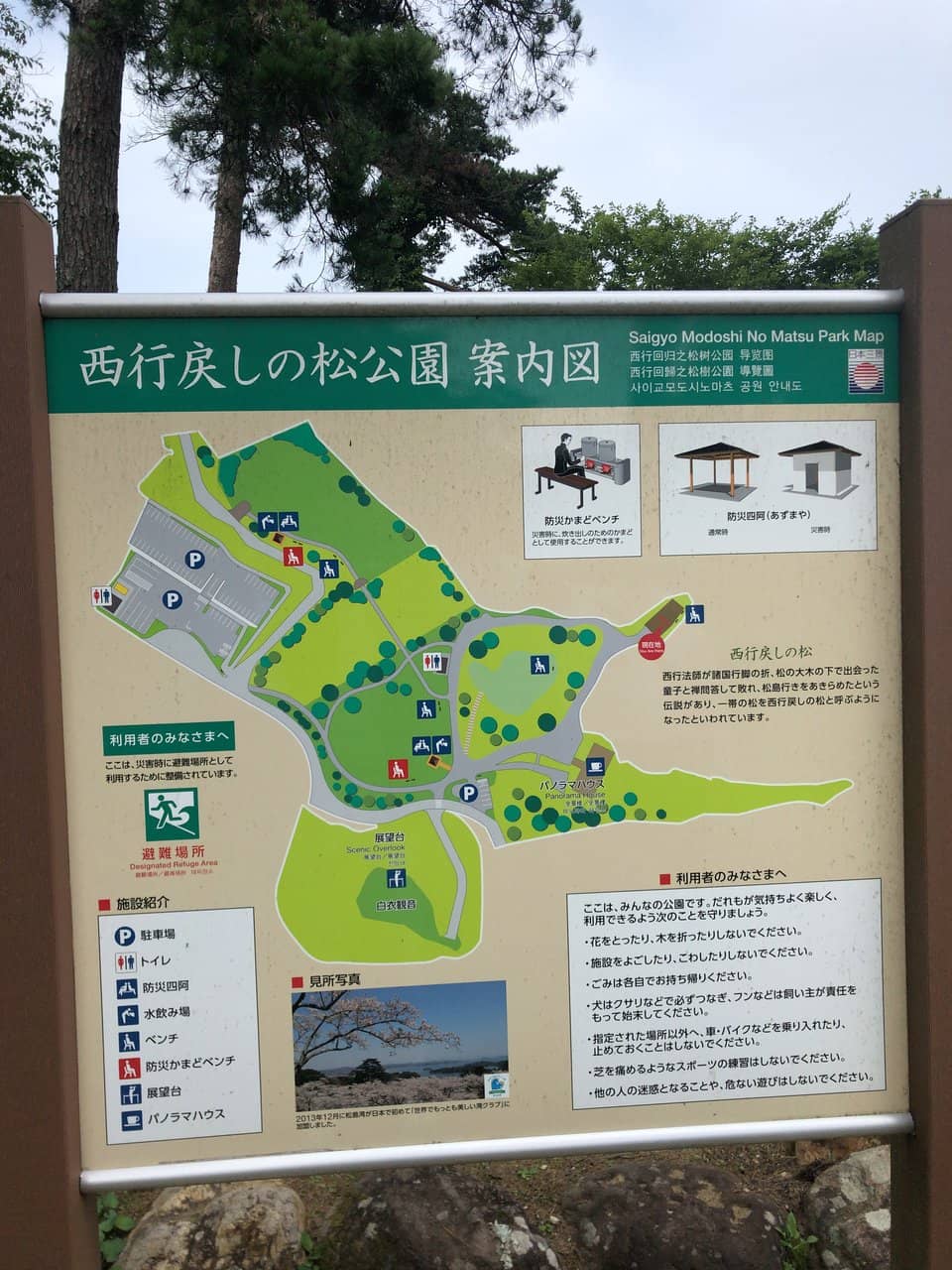 Vertical photo