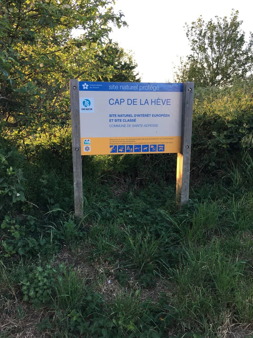 Coastal Walking Path