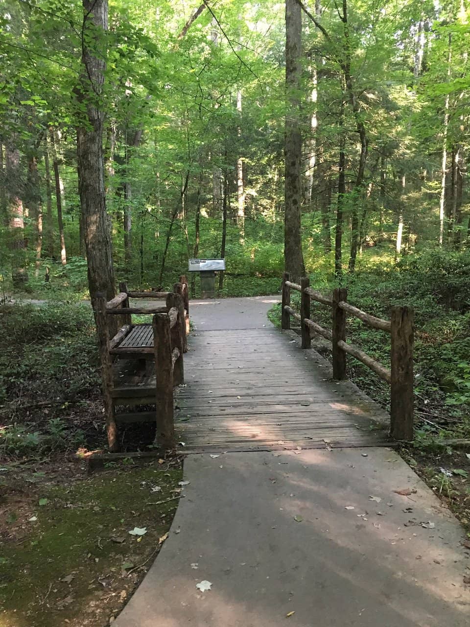Historic Stone Chimneys