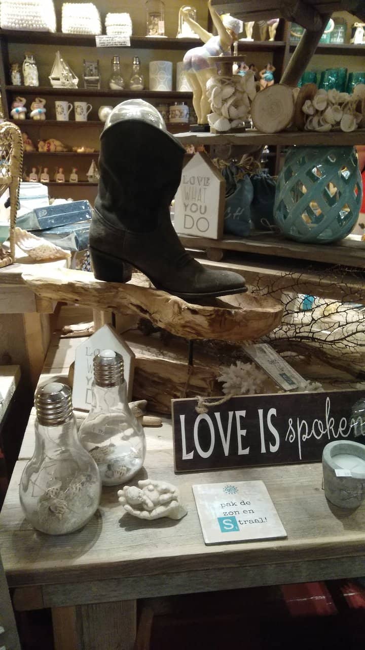 Exquisite Shell Jewelry