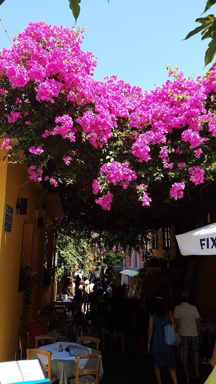 Charming Cafes and Bars