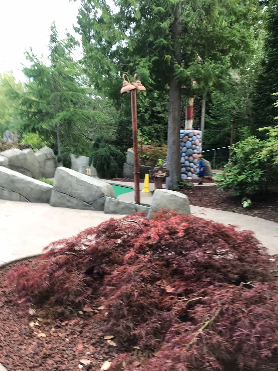 Delicious Ice Cream & Snacks