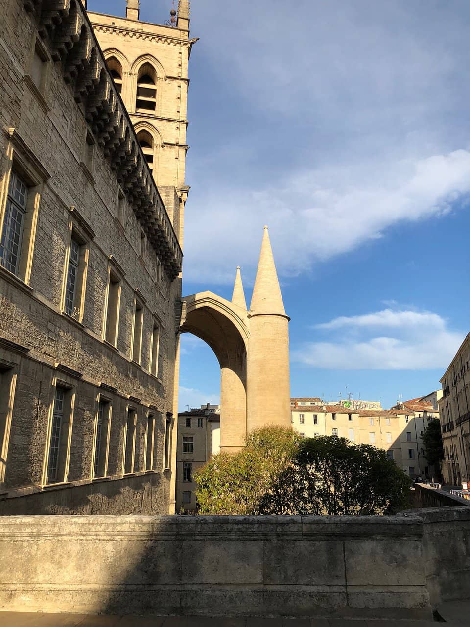 Vertical photo