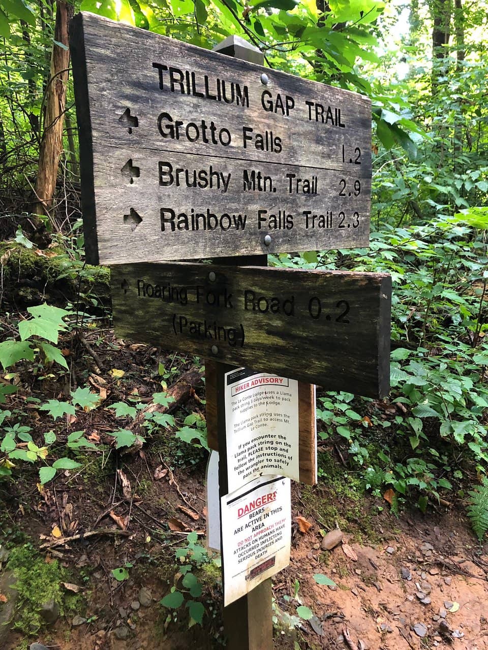Trillium Gap Trail Scenery