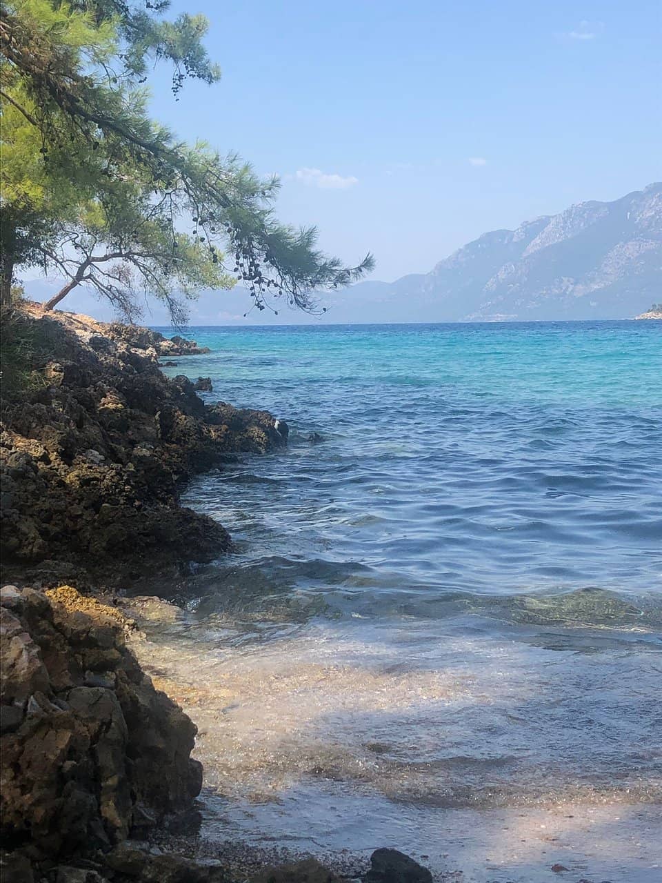 Marine Life Discovery