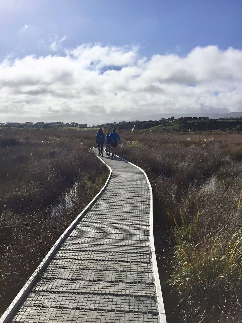 Scenic Coastal Walks