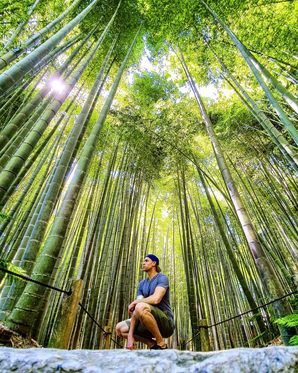 Vertical photo