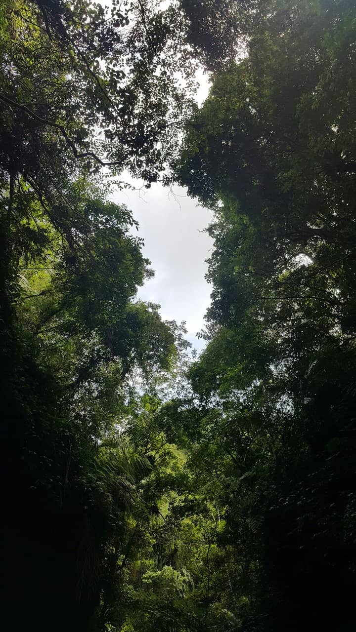 Scenic Walking Trail