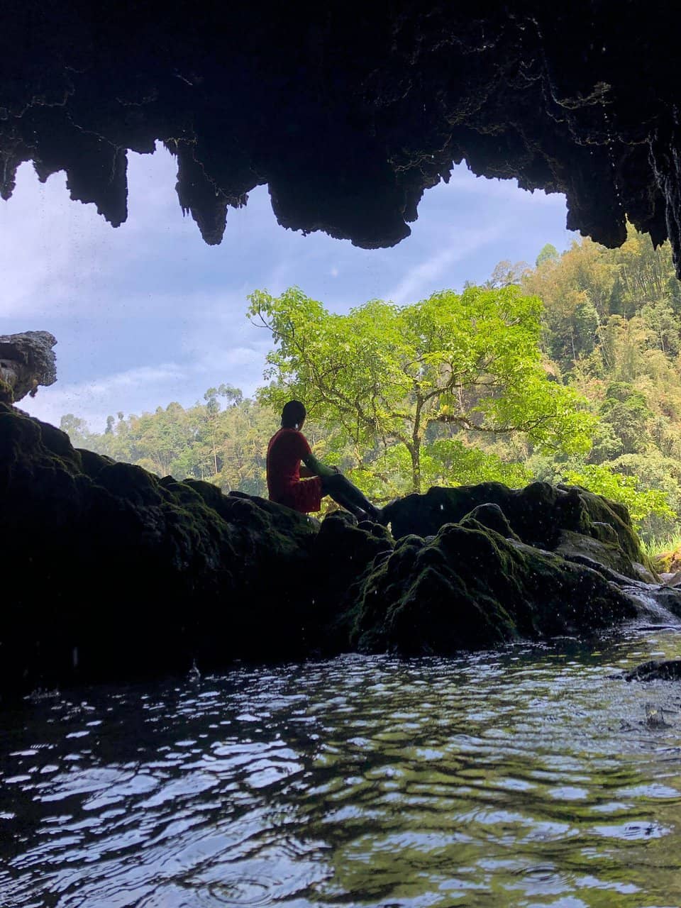 Scenic Jungle Hike