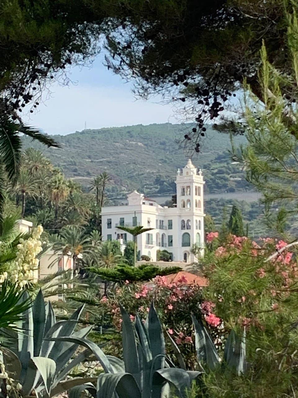 Vertical photo