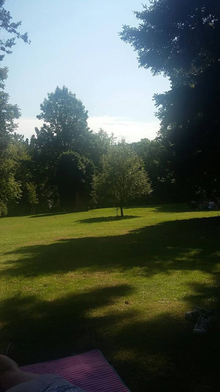 Vertical photo