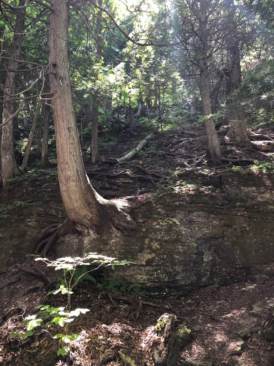 The Climb Itself