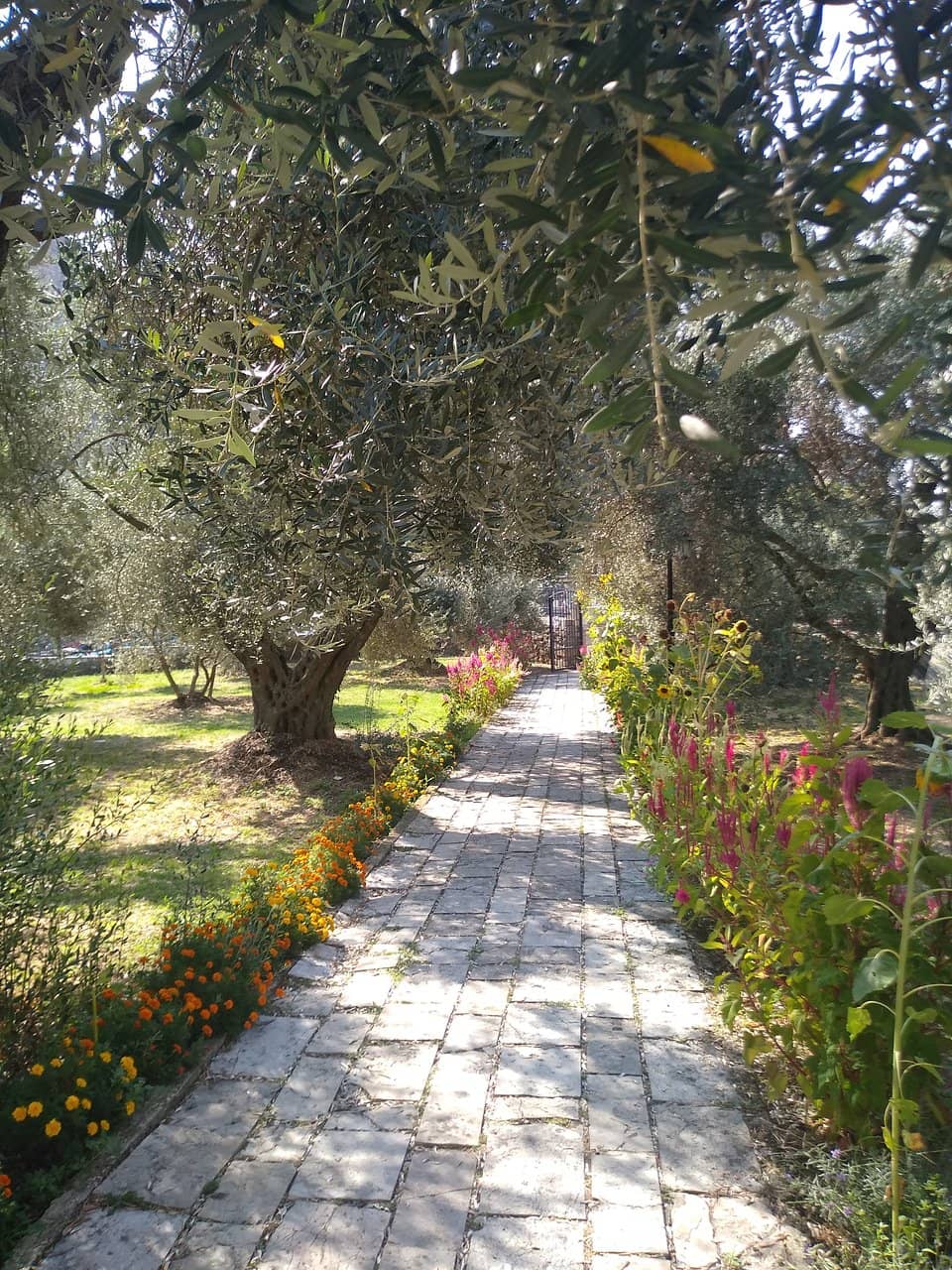 Vibrant Interior Paintings