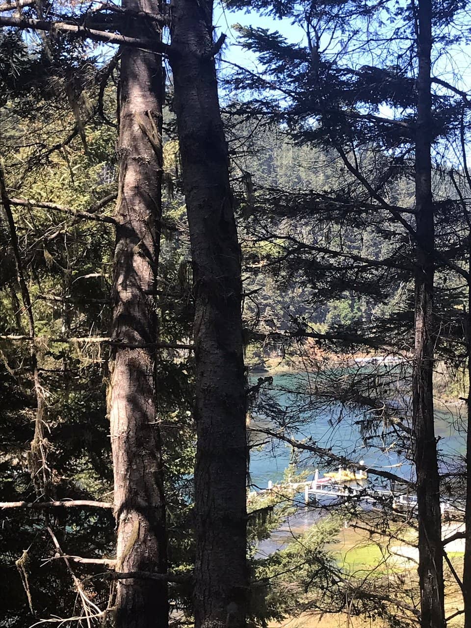 Vertical photo