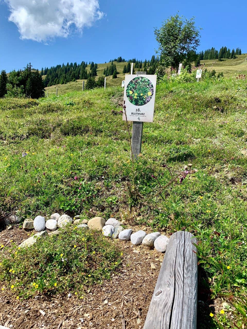 Family Walking Path