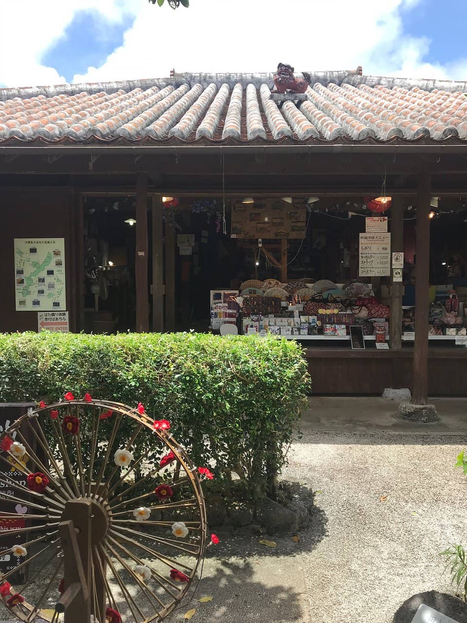 Habu Snake Show