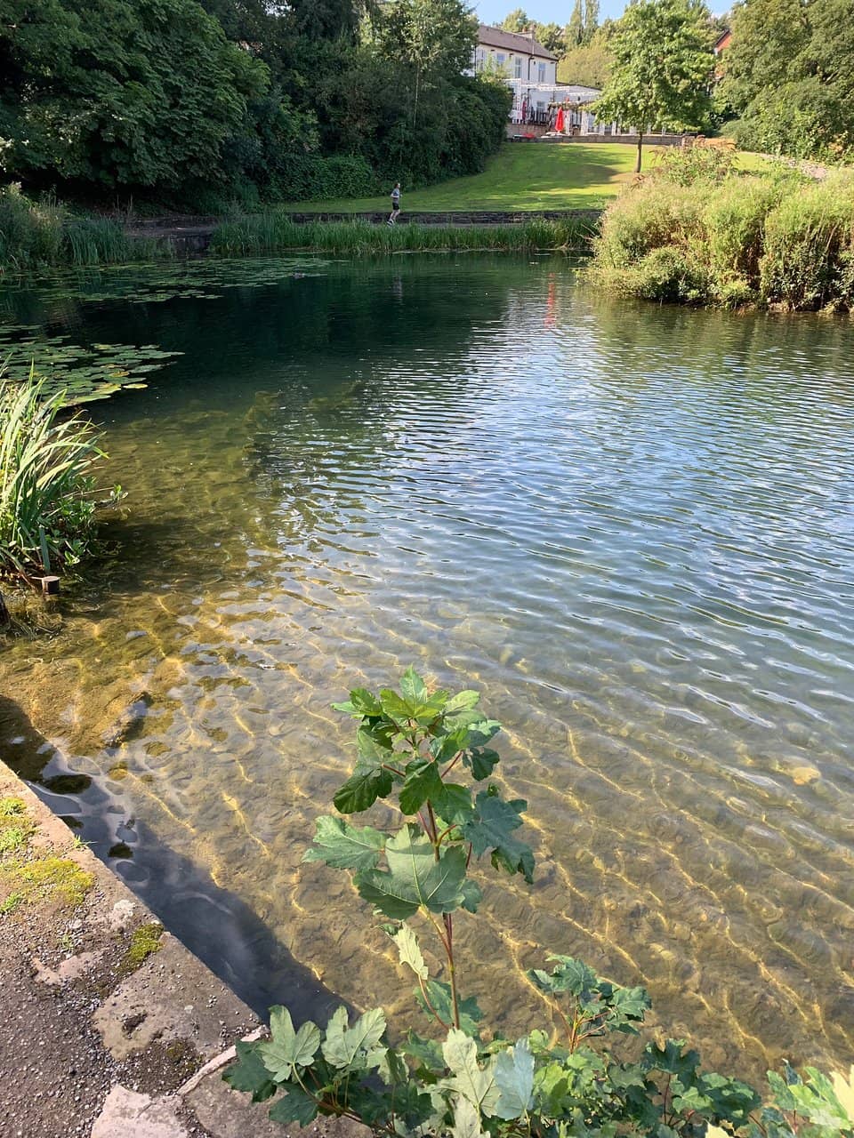 The Central Lake