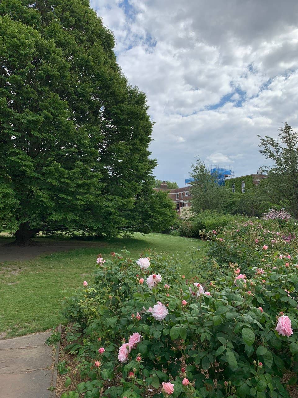 Picnic Spots