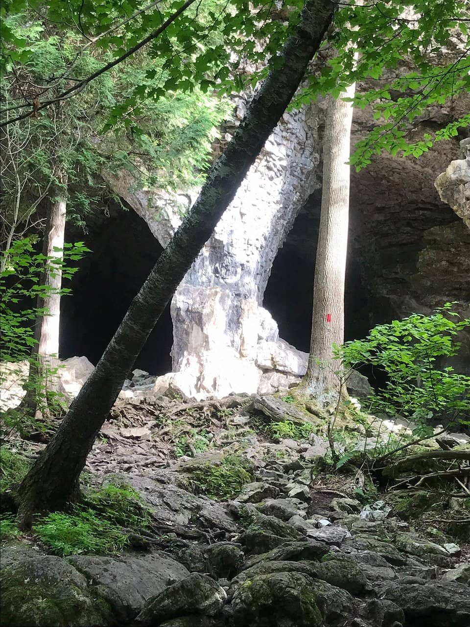 Limestone Cliffs