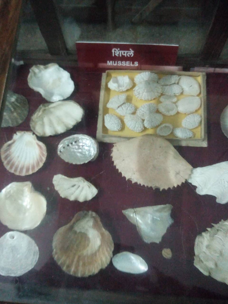 Historical Weapons and Artifacts