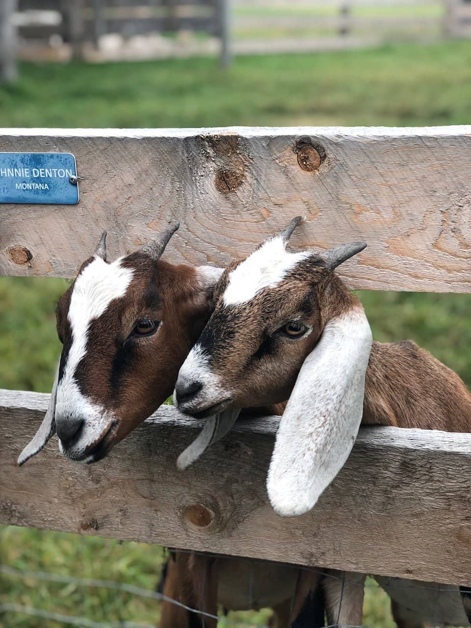 Peaceful Gardens & Nature Walks