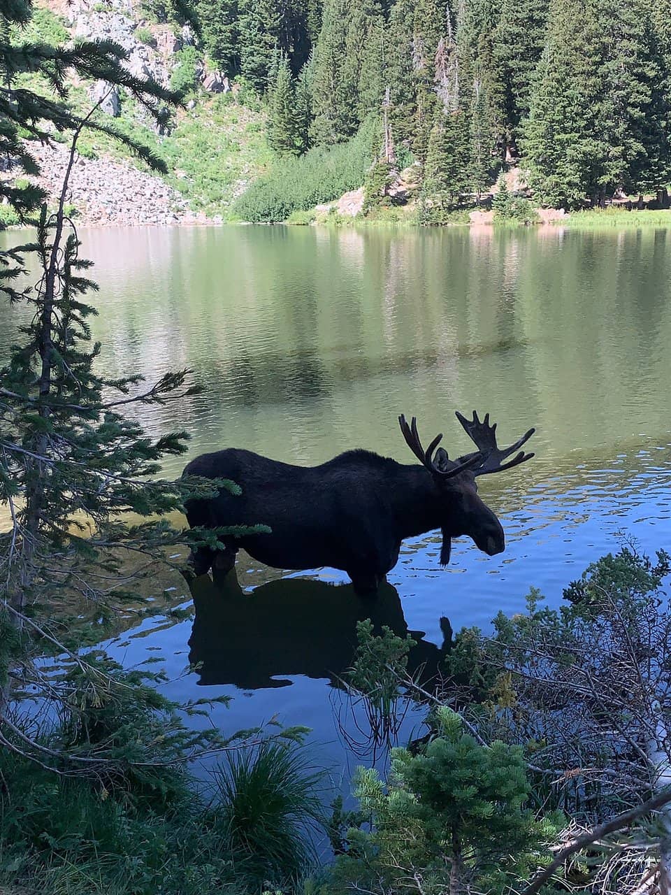 Guardsman Pass Overlook