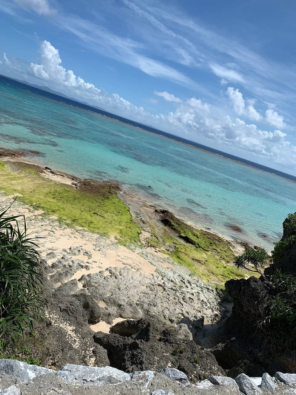 Ocean Connections