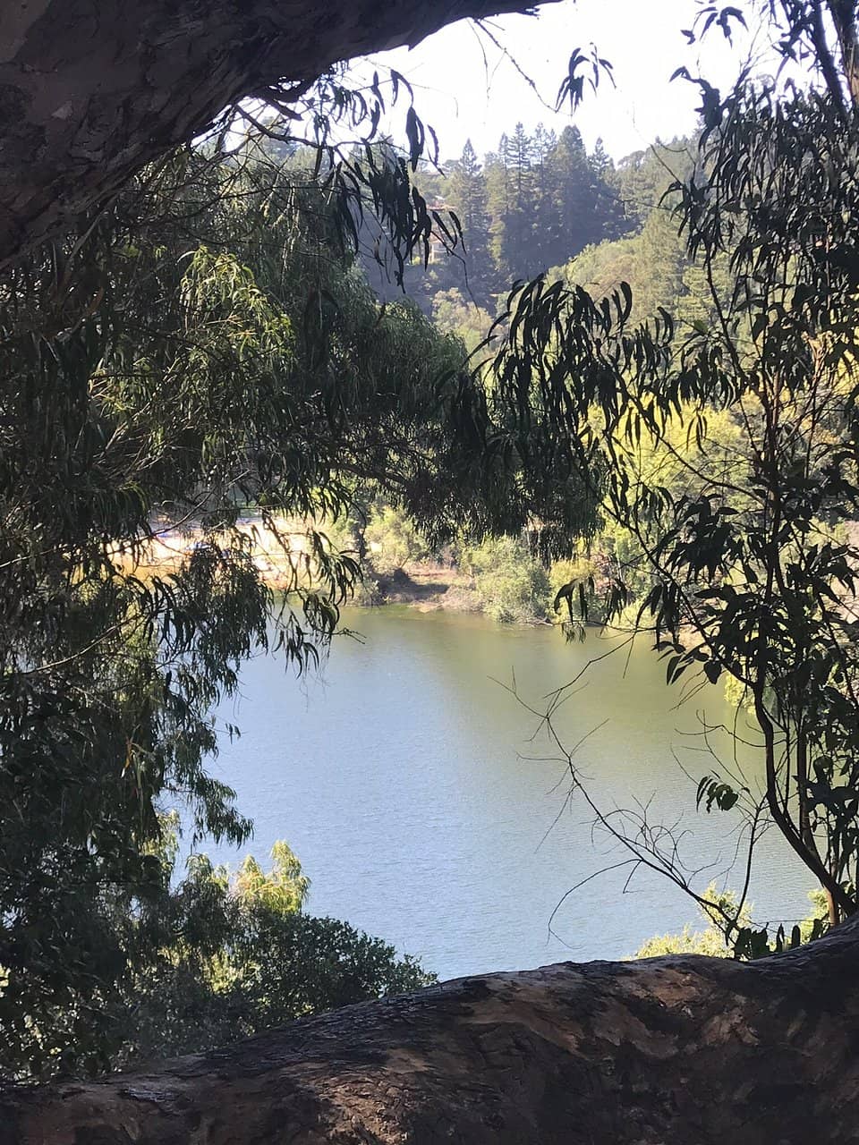 Scenic Loop Trail