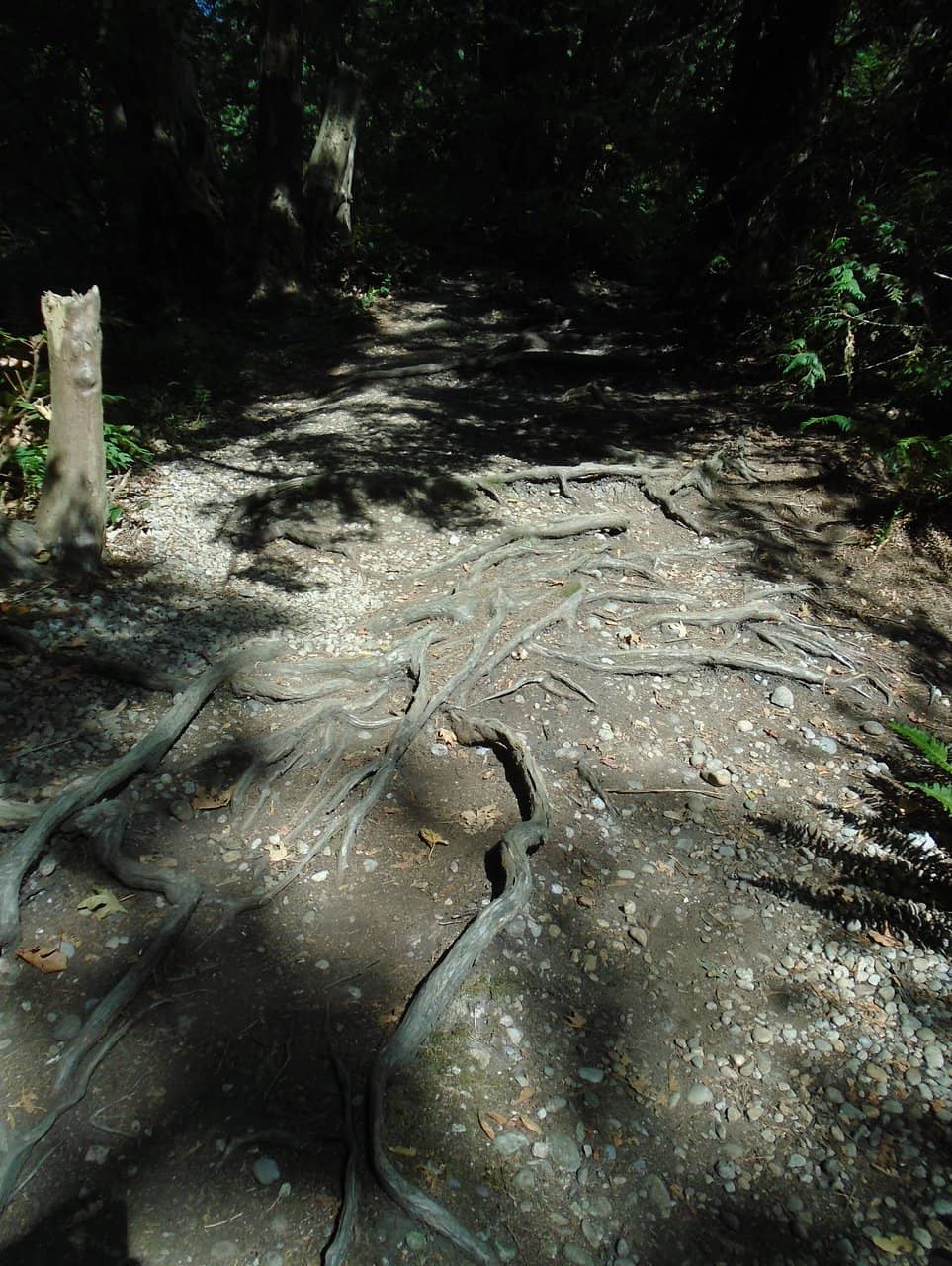 Children's Playground & Wading Pool