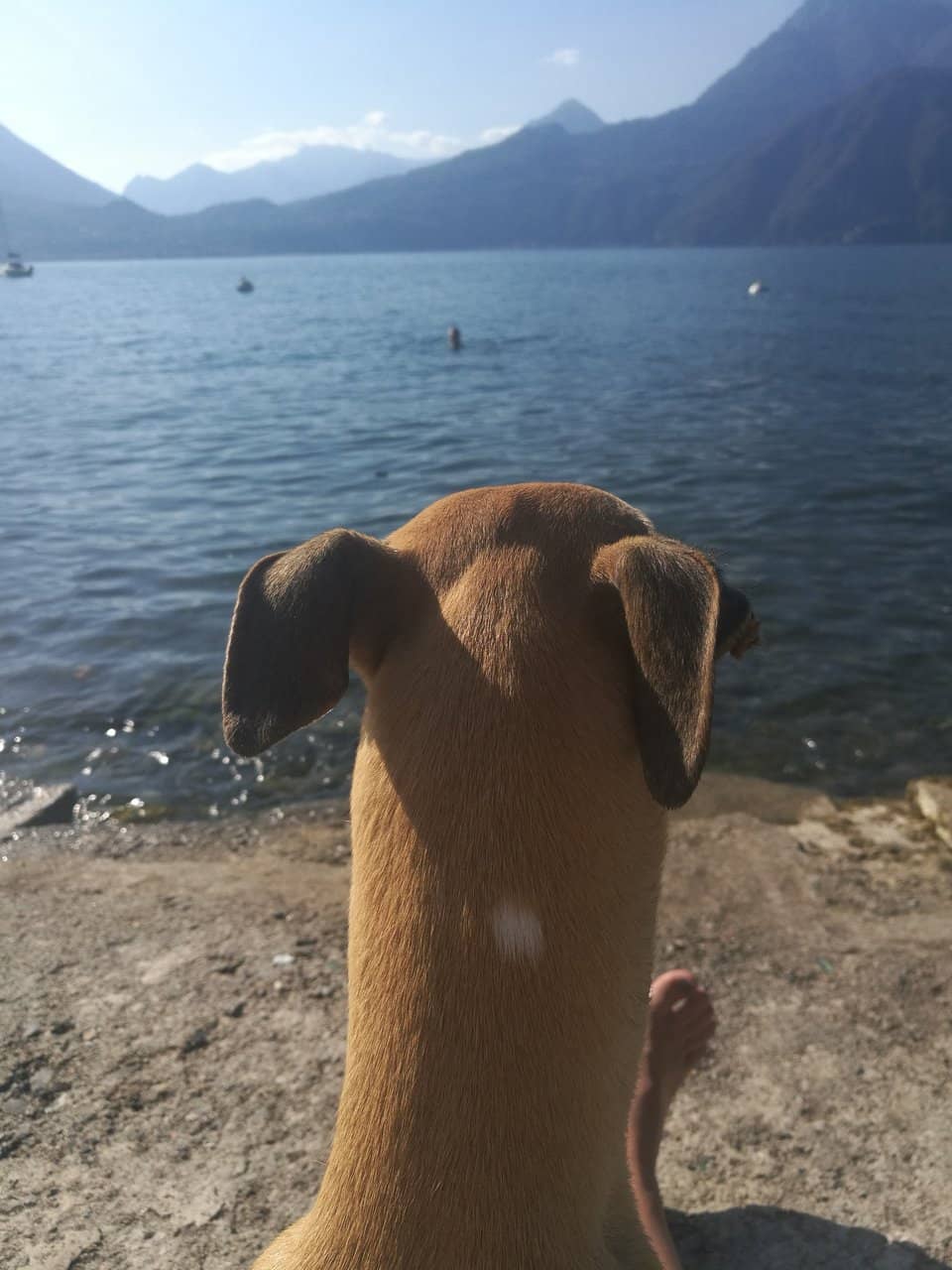Varenna's Lakeside Promenade