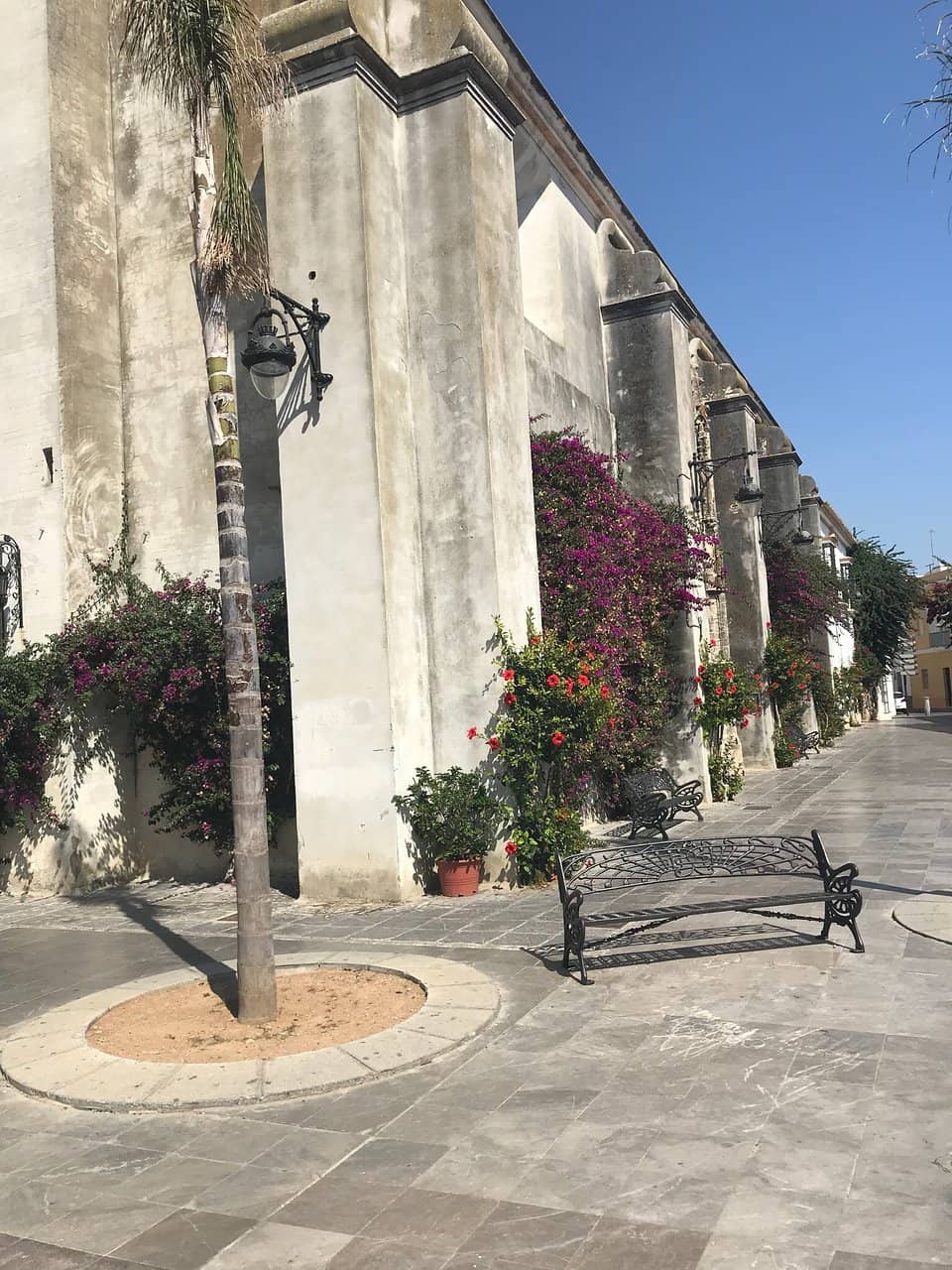 Beautiful Facade and Tower