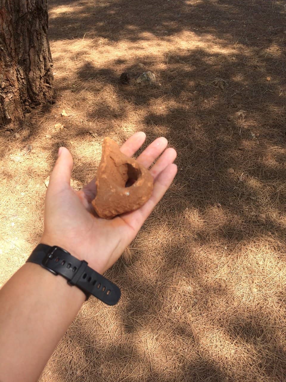 Roman Era Architecture