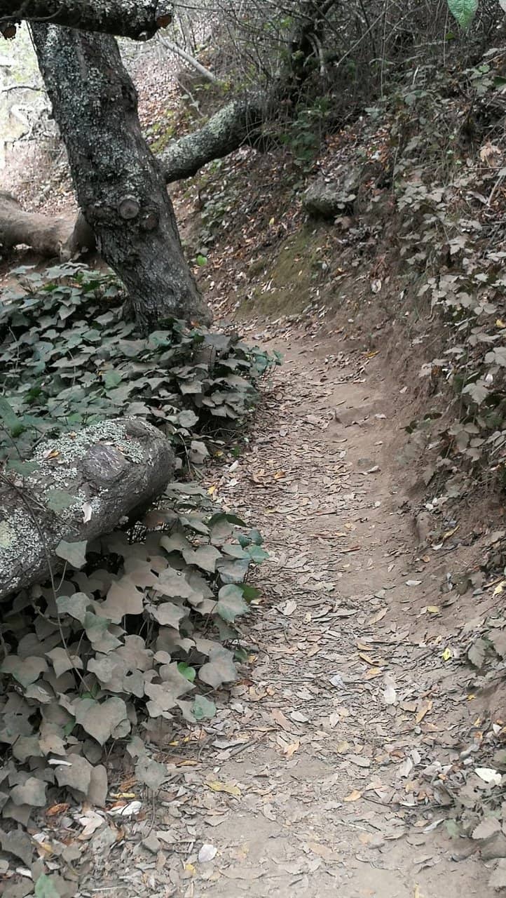 Islais Creek Trail
