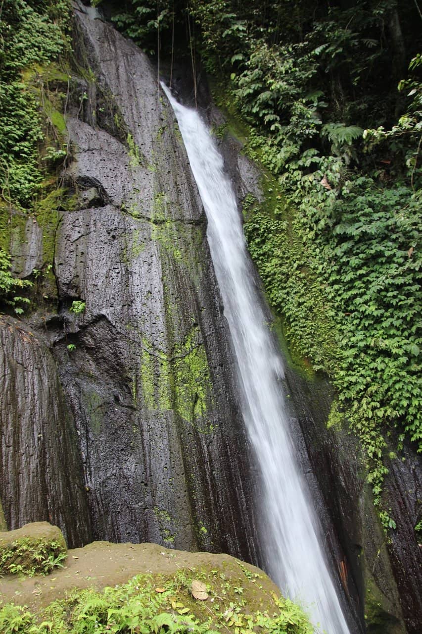 Scenic Trek to the Falls