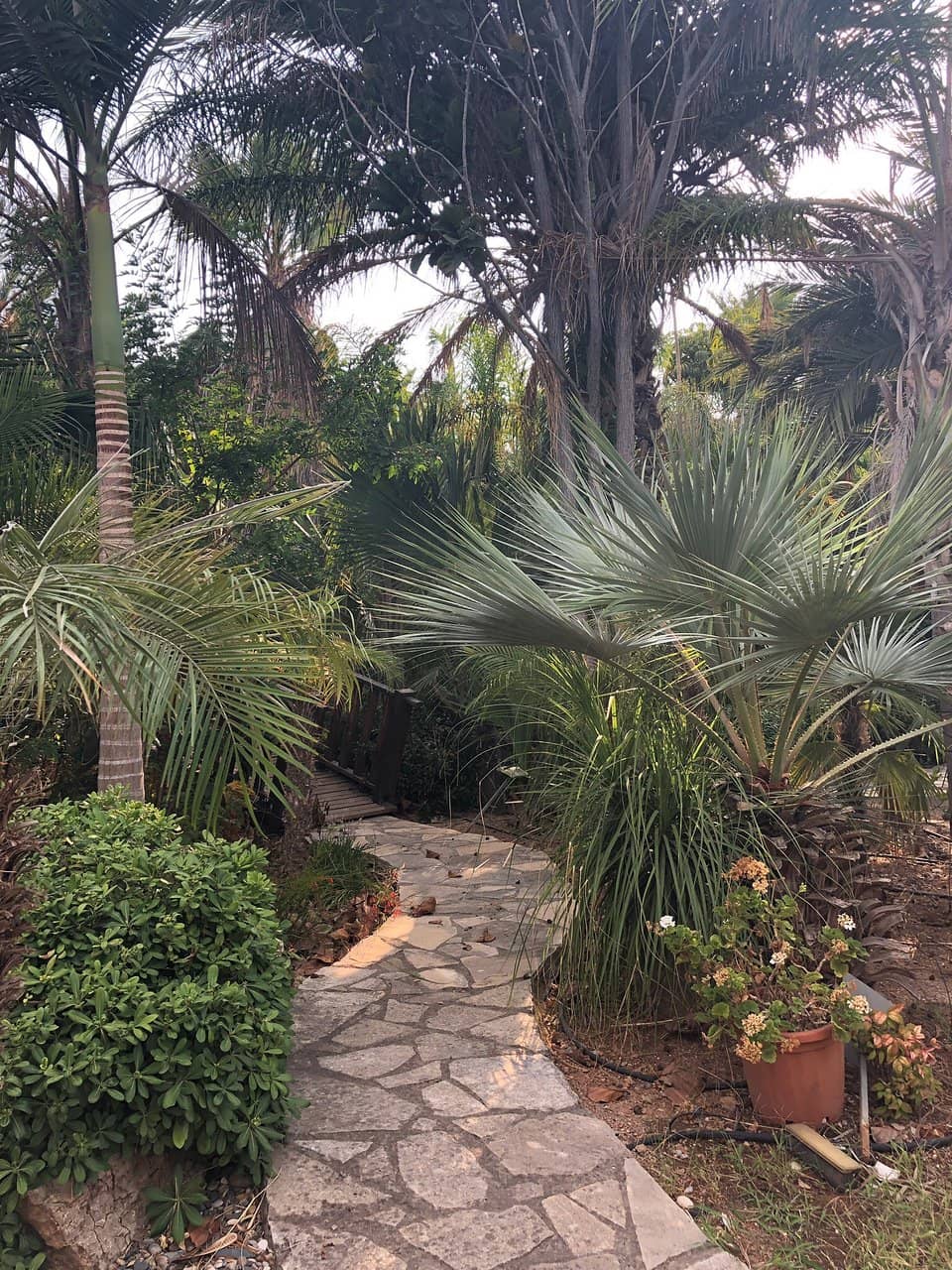 Event Venue Ambiance