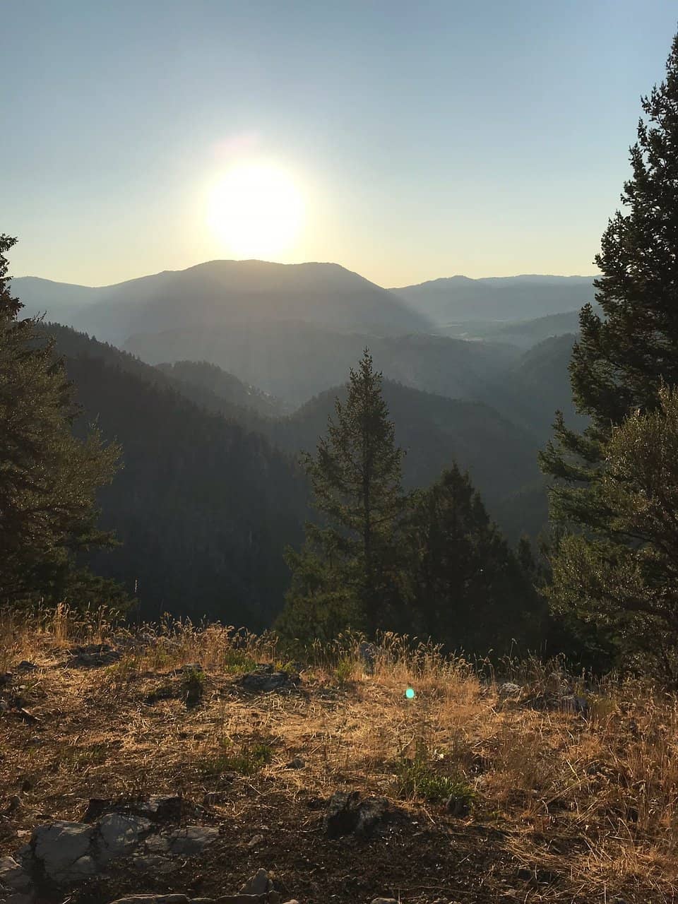 Vertical photo