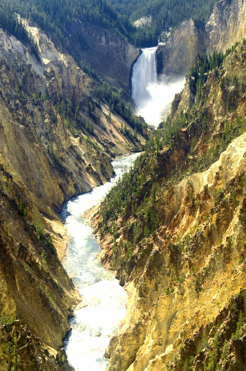 Vertical photo