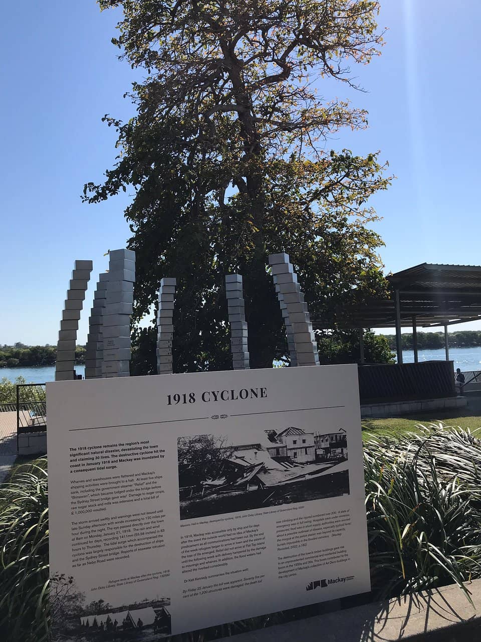 The Historic 'Dig Tree'