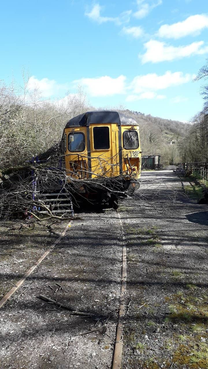 WW2 Reenactment Event