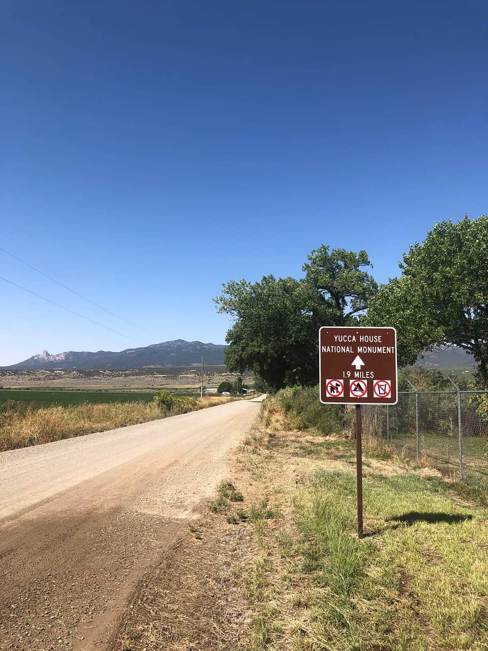 The Drive