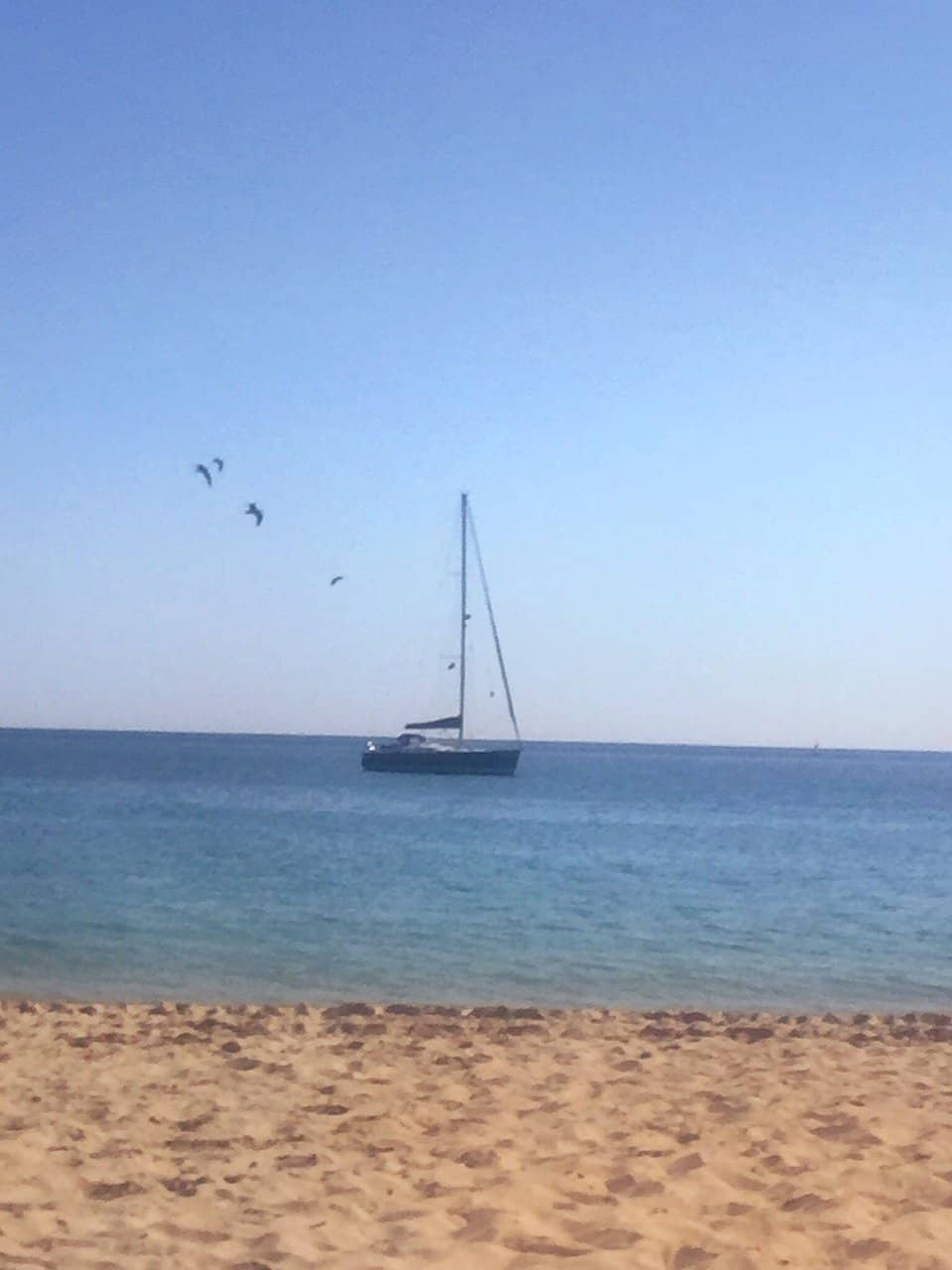 Local Dining Options