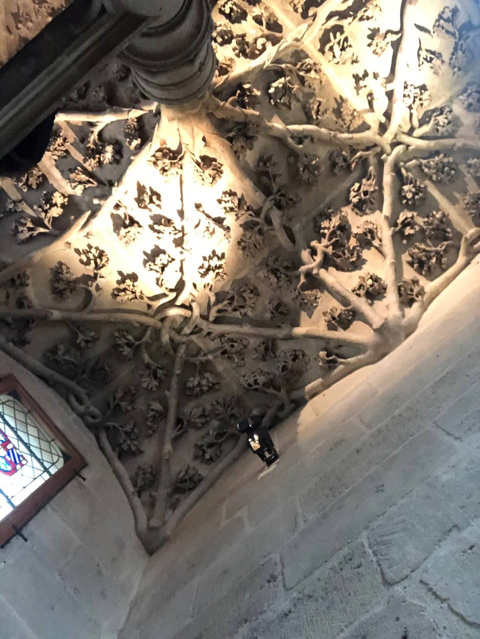 The Dukes of Burgundy's Legacy