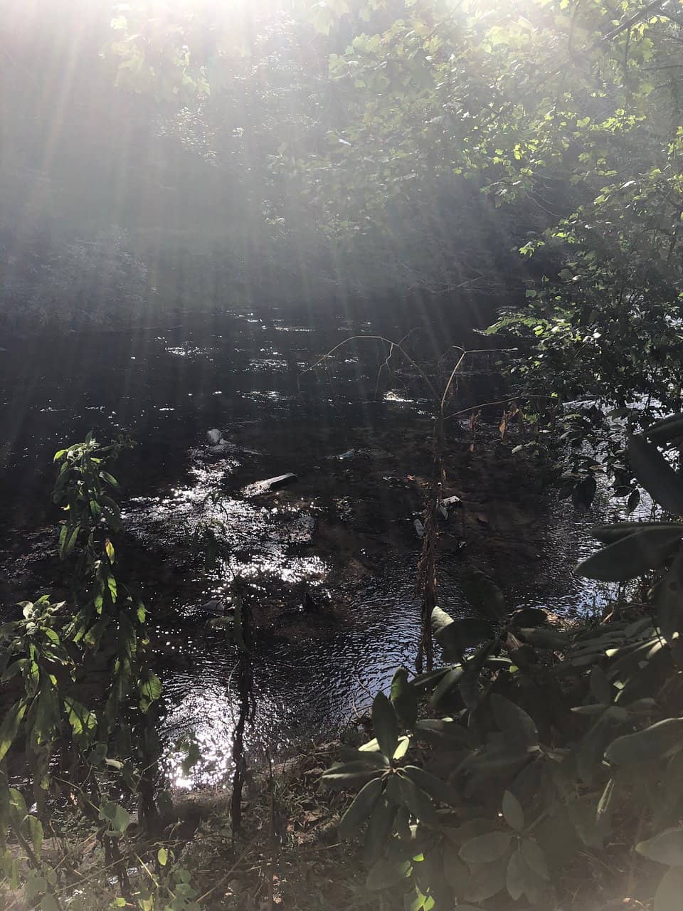 Outdoor Games & Ambiance