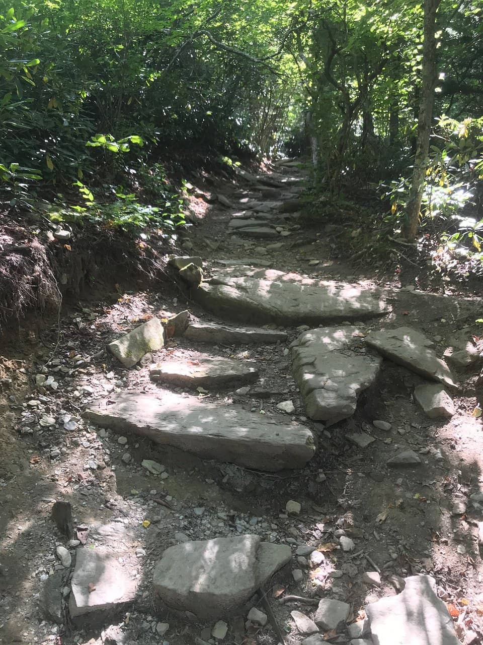 Family-Friendly Short Hike