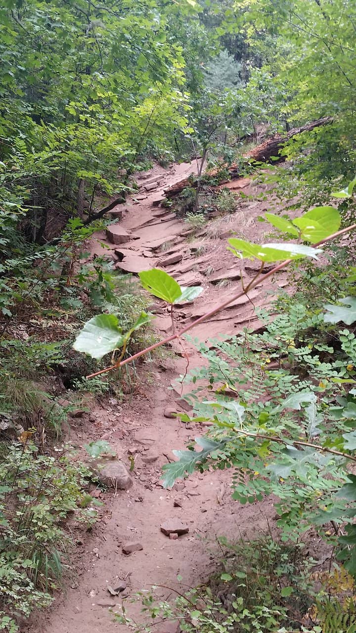 Wildlife Spotting Opportunities